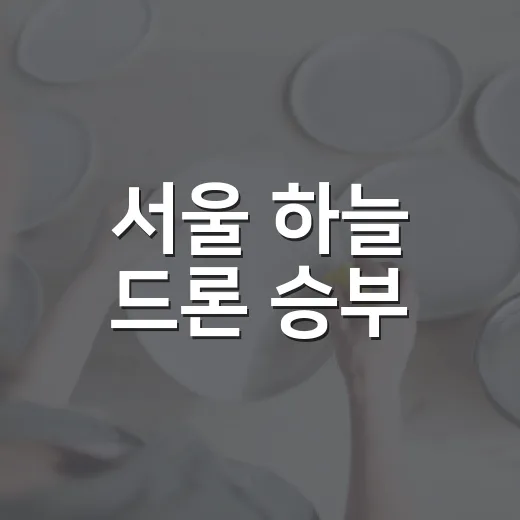 서울 하늘 드론 승부