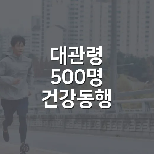 대관령 500명 건강동행
