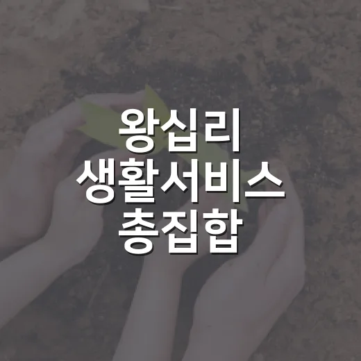 왕십리 생활서비스 총집합