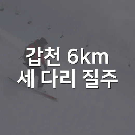 갑천 6km 세 다리 질주