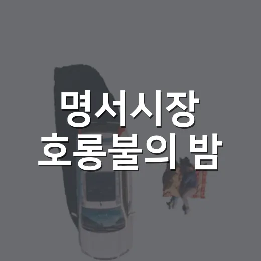 명서시장 호롱불의 밤