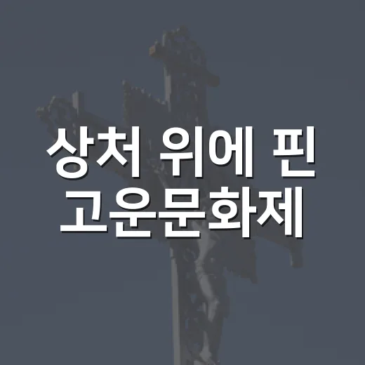상처 위에 핀 고운문화제