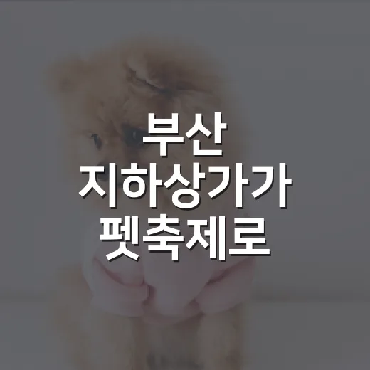 부산 지하상가가 펫축제로