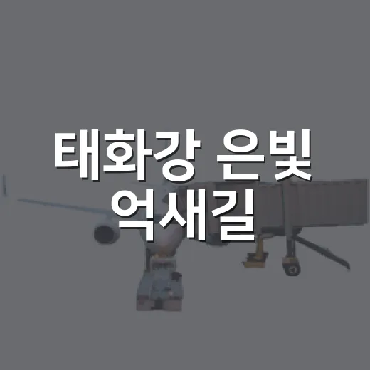 태화강 은빛 억새길