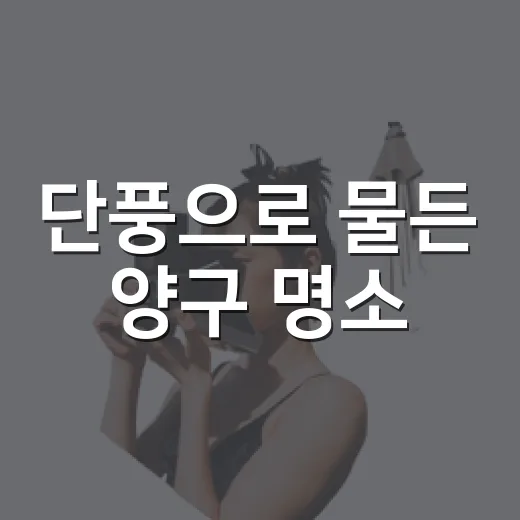 단풍으로 물든 양구 명소