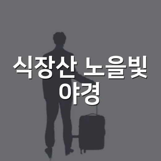 식장산 노을빛 야경
