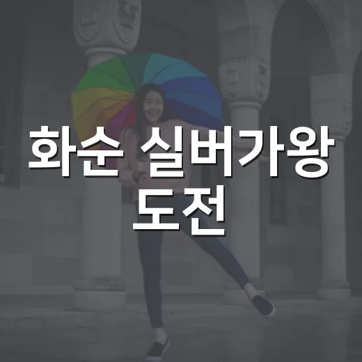 화순 실버가왕 도전