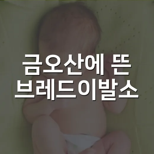 금오산에 뜬 브레드이발소