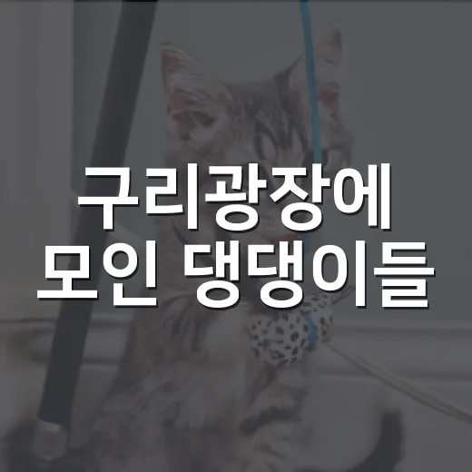 구리광장에 모인 댕댕이들