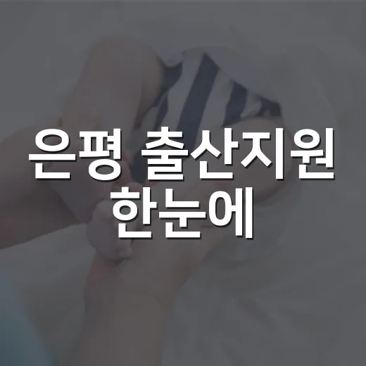 은평 출산지원 한눈에