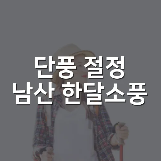 단풍 절정 남산 한달소풍