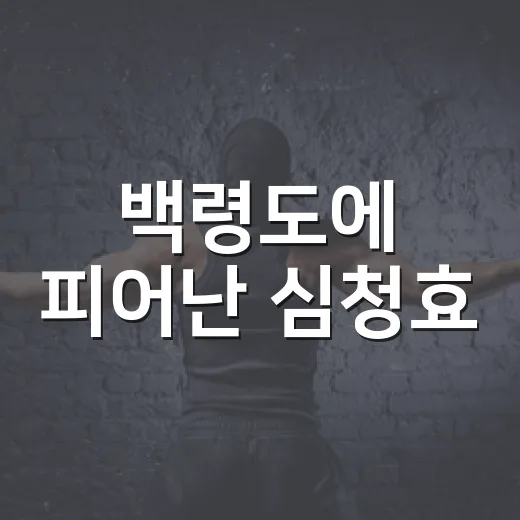 백령도에 피어난 심청효