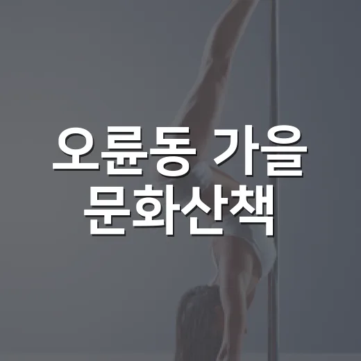 오륜동 가을 문화산책