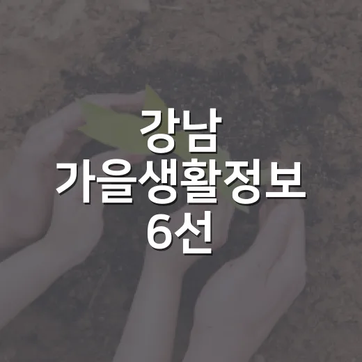 강남 가을생활정보 6선