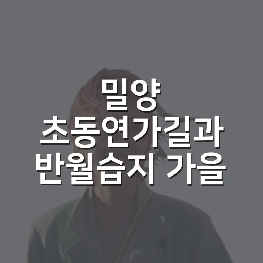 밀양 초동연가길과 반월습지 가을 산책