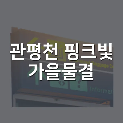 관평천 핑크빛 가을물결