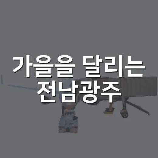 가을을 달리는 전남광주