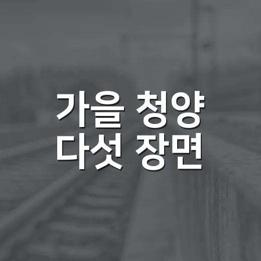 가을 청양 다섯 장면
