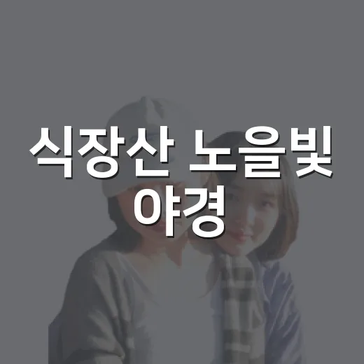 식장산 노을빛 야경