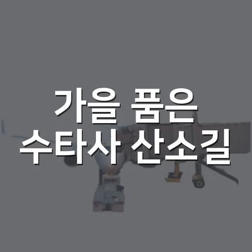 가을 품은 수타사 산소길