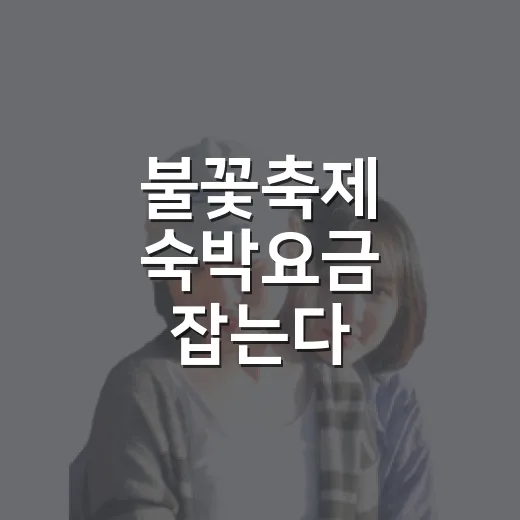 불꽃축제 숙박요금 잡는다