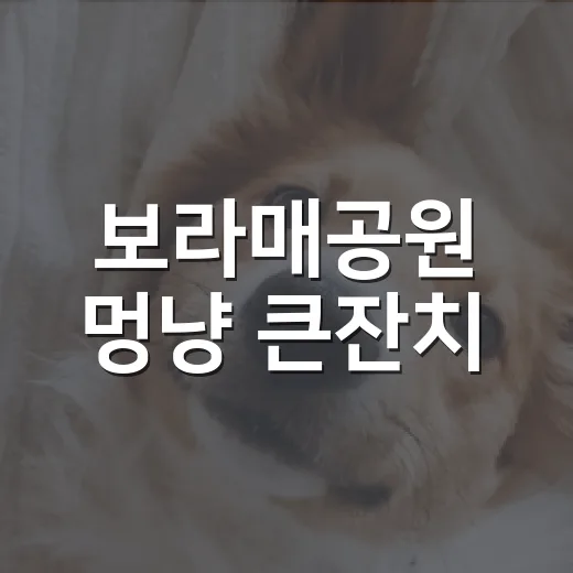 보라매공원 멍냥 큰잔치