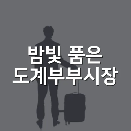 밤빛 품은 도계부부시장