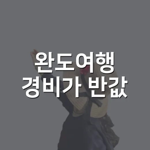 완도여행 경비가 반값