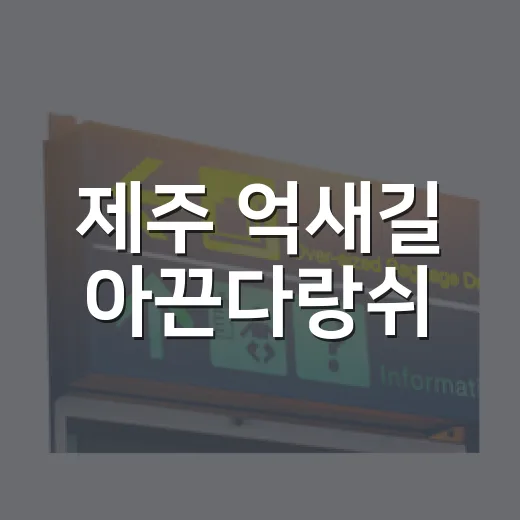 제주 억새길 아끈다랑쉬