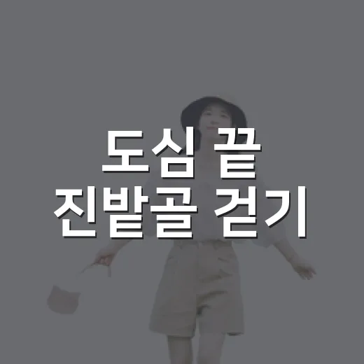 도심 끝 진밭골 걷기
