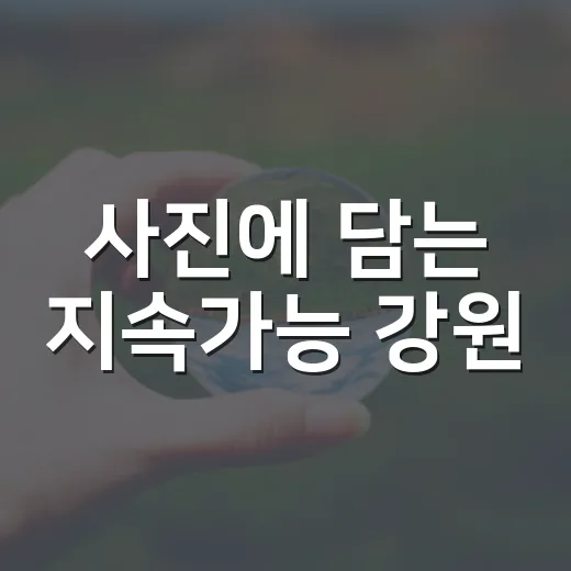 사진에 담는 지속가능 강원