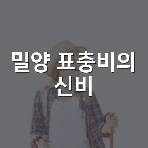 밀양 표충비의 신비