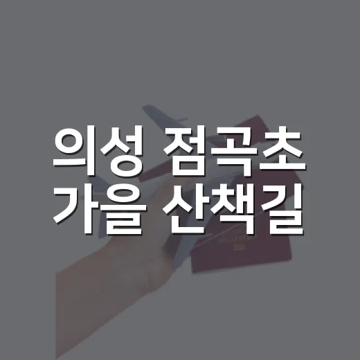 의성 점곡초 가을 산책길