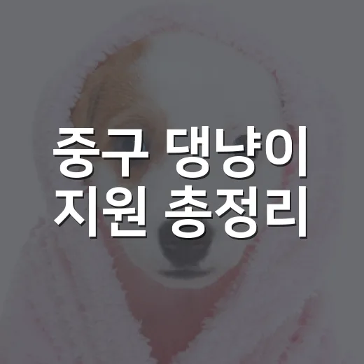 중구 댕냥이 지원 총정리