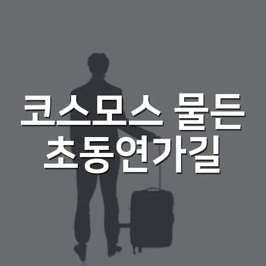 코스모스 물든 초동연가길