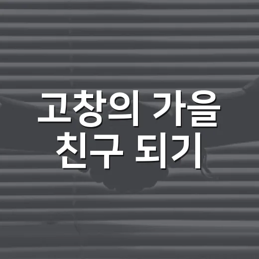 고창의 가을 친구 되기