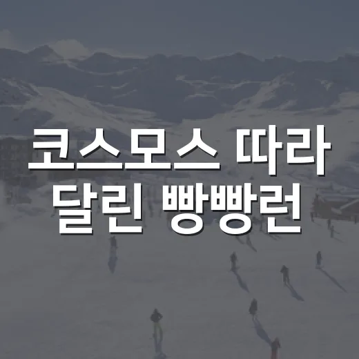 코스모스 따라 달린 빵빵런