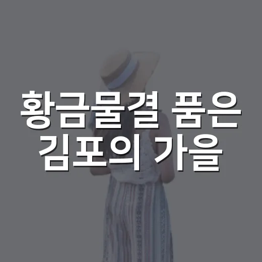 황금물결 품은 김포의 가을