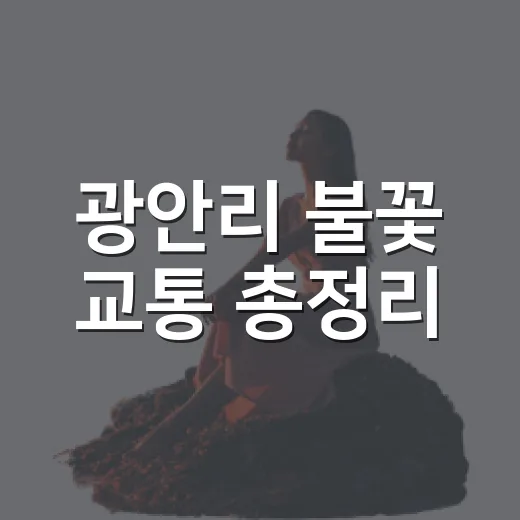 광안리 불꽃 교통 총정리