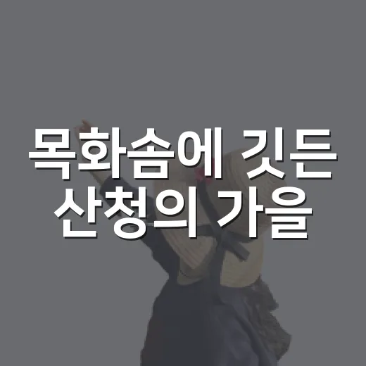 목화솜에 깃든 산청의 가을