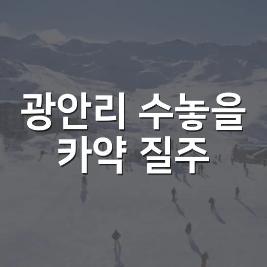 광안리 수놓을 카약 질주