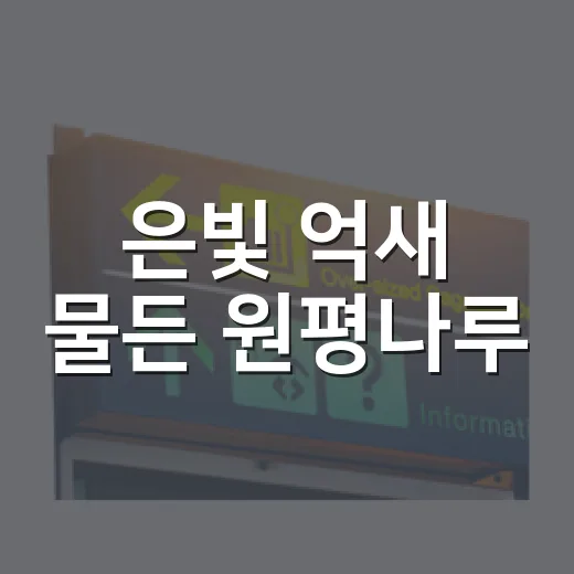 은빛 억새 물든 원평나루