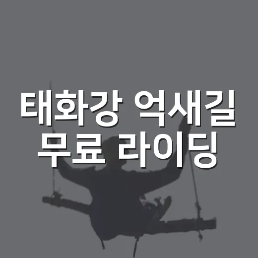 태화강 억새길 무료 라이딩