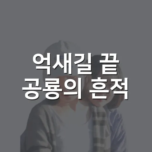 억새길 끝 공룡의 흔적