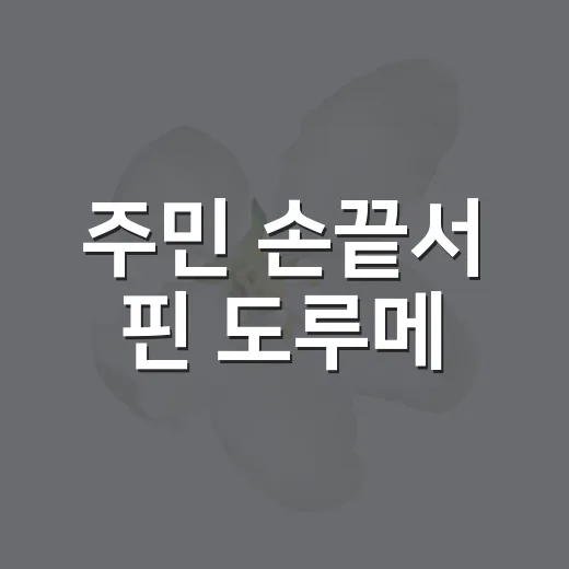 주민 손끝서 핀 도루메