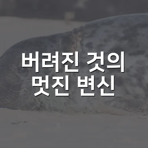 버려진 것의 멋진 변신