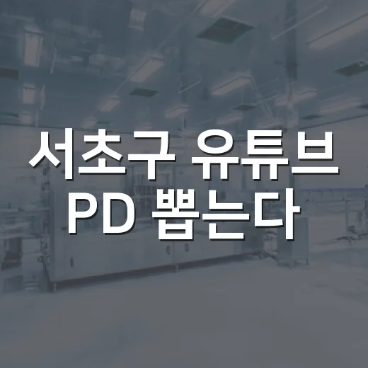 서초구 유튜브 PD 뽑는다