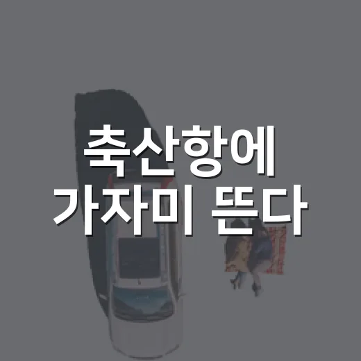 축산항에 가자미 뜬다