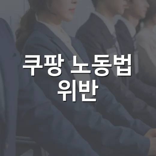 쿠팡 노동법 위반, 206건 적발