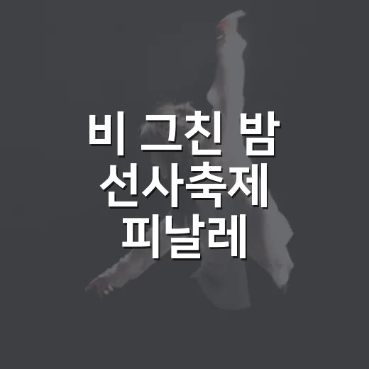 비 그친 밤 선사축제 피날레